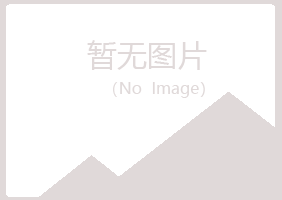 宝山区如天能源有限公司